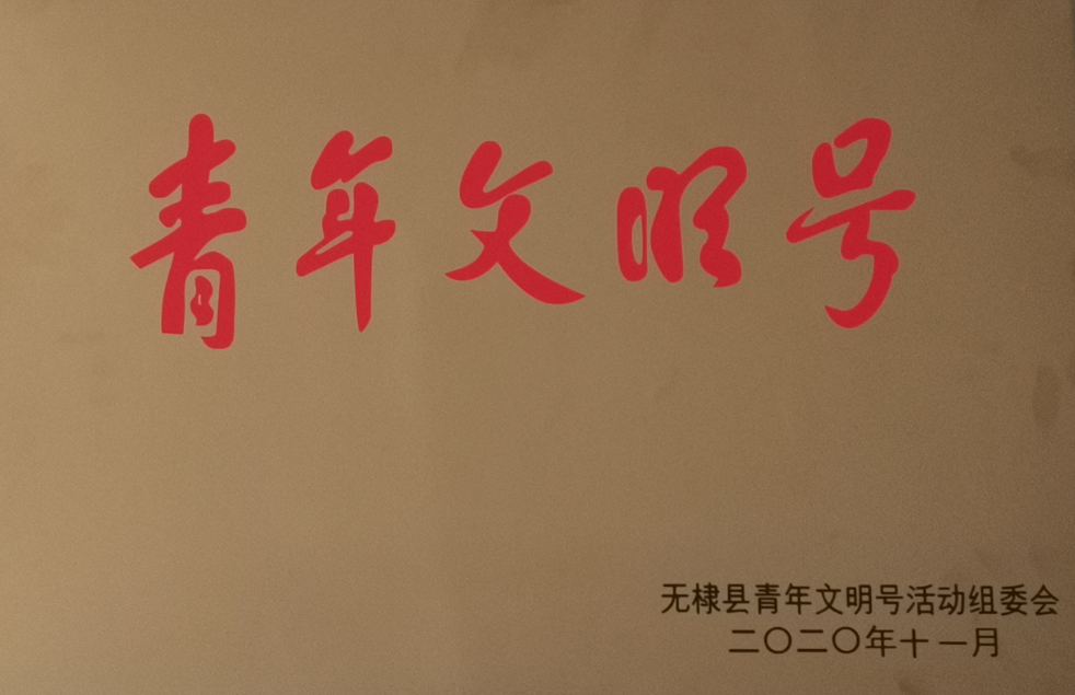 2019年度縣級(jí)青年文明號(hào)